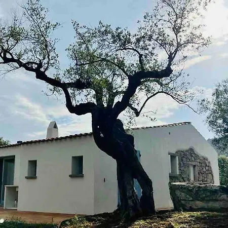 Prázdninový dům Autentico Stazzo Gallurese - Porto Rotondo