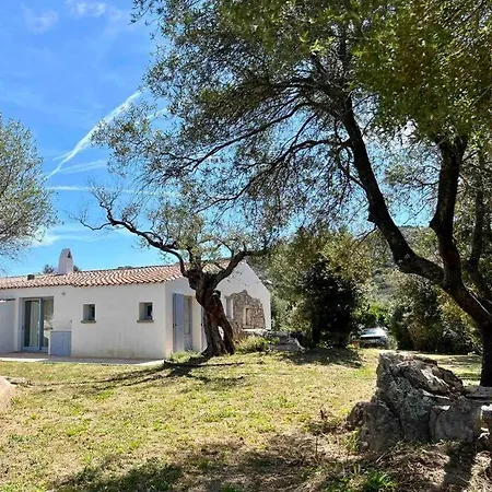 Holiday home Autentico Stazzo Gallurese Del 1907