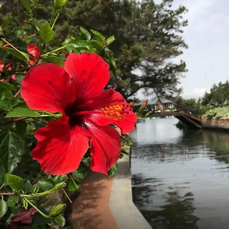 Autentico Stazzo Gallurese - * Porto Rotondo
