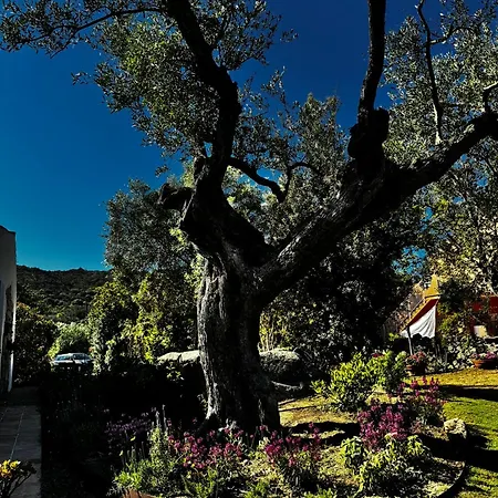 Autentico Stazzo Gallurese - Ferienhaus Porto Rotondo