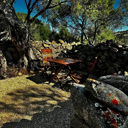 Autentico Stazzo Gallurese - *