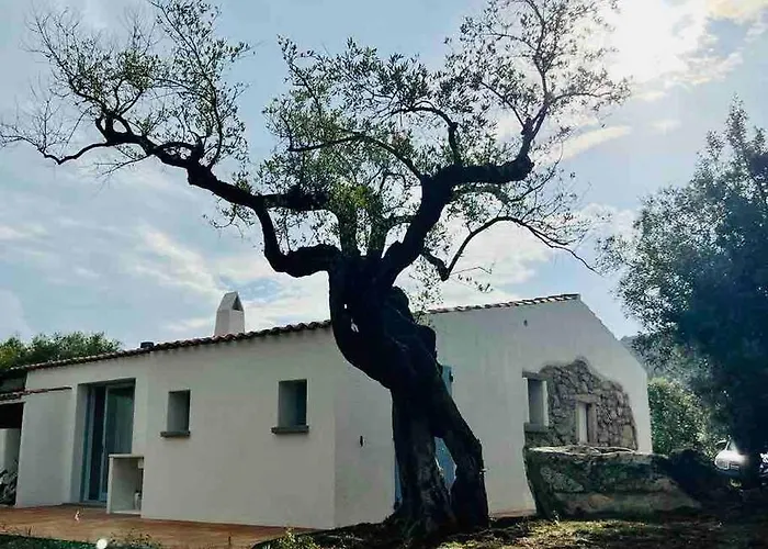 Vakantiehuis Autentico Stazzo Gallurese - Porto Rotondo