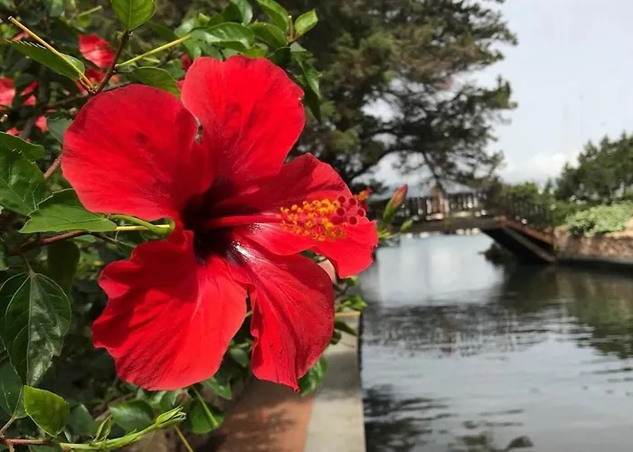 Autentico Stazzo Gallurese - * Porto Rotondo