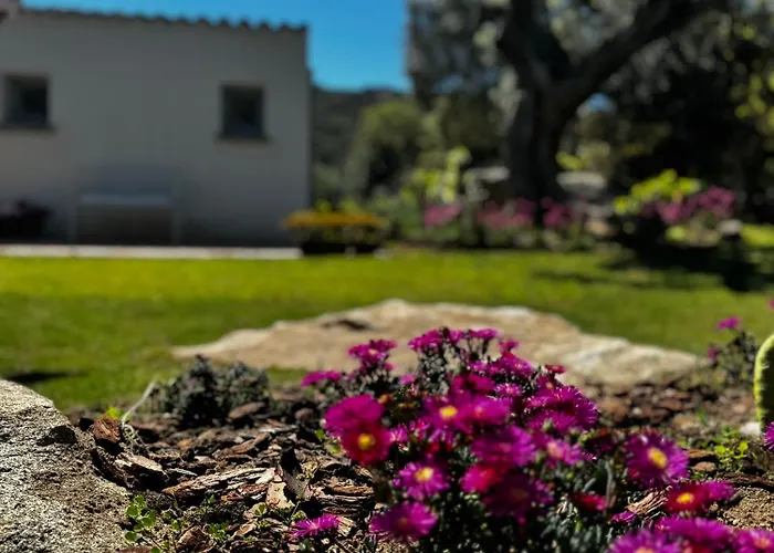 Autentico Stazzo Gallurese - Ferienhaus Porto Rotondo
