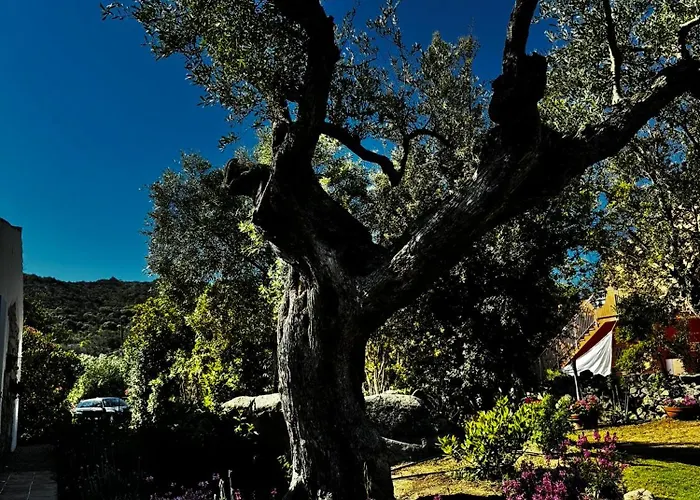 Autentico Stazzo Gallurese - Vakantiehuis Porto Rotondo