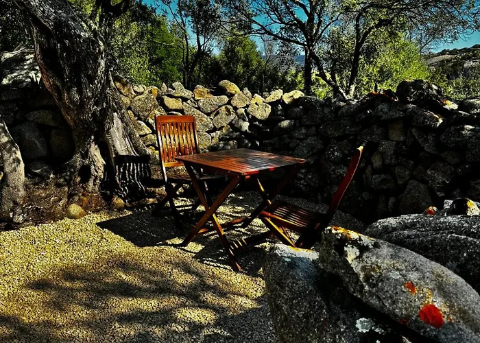 Autentico Stazzo Gallurese - *